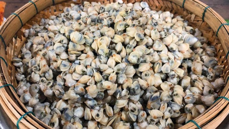 Hến sau khi luộc chín sẽ được đãi lấy phần thịt rửa sạch và chuẩn bị xào thơm