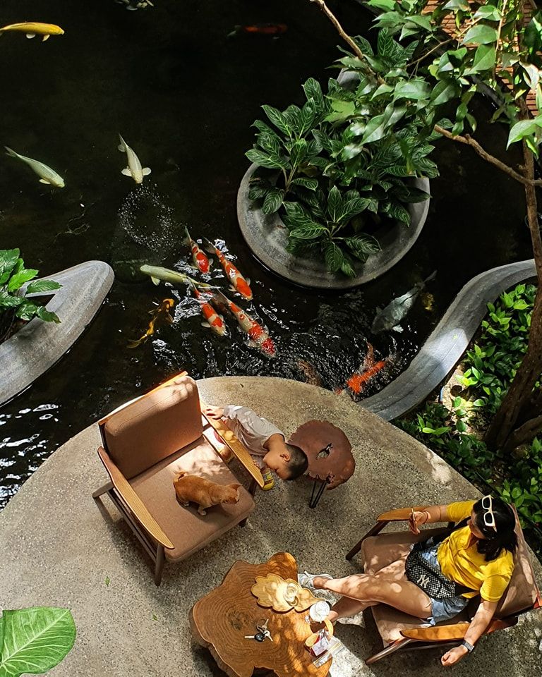 Tầng trệt có hồ cá koi và xung quanh được bài trí các ghế ngồi cho du khách trò chuyện và thư giãn. (Nguồn: Facebook.com)