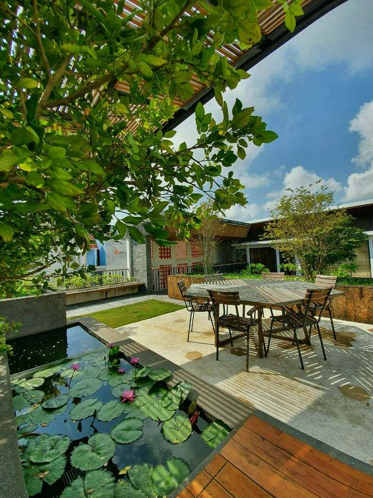 Khu vườn trên sân thượng có chỗ ngồi ngay cạnh hồ sen nhỏ, tạo nên khung cảnh cực thơ. (Nguồn: Facebook.com)